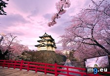 Tags: castle, hirosaki, japan, wallpaper, wide (Pict. in Unique HD Wallpapers)
