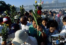 Tags: hiroshima, mourners (Pict. in National Geographic Photo Of The Day 2001-2009)