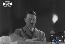 Tags: dolphin, funny, gif, hitler (GIF in Rehost)