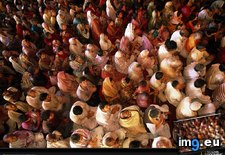 Tags: crowd, festival, holi (Pict. in National Geographic Photo Of The Day 2001-2009)