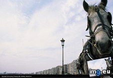 Tags: greece, horse, waterfront (Pict. in National Geographic Photo Of The Day 2001-2009)