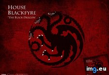 Tags: blackfyre, house (Pict. in Game of Thrones ART (A Song of Ice and Fire))