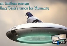 Tags: 1600x1200, humane (Pict. in Mass Energy Matter)