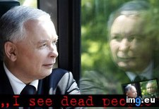 Tags: dead, people (Pict. in Rehost)