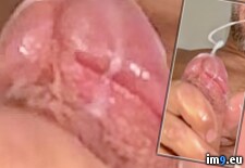 IMG_0026 (#Ass #Hardcore #Anal #Sodomy #Cum #Butt #Gay #Sperm #Cock #Fuck #Dick #Masturbate #Curious #Queer #Homosexual #Hay #Sodomize #Bicurious #Spunk #Jizm #Autofellatio #Ejaculate) - 142 KB Tags: anal, anus, ass, autofellatio, bicurious, bisexual, butt, cock, cocksucker, cum, curious, dick, double, ejaculate, faggot, fuck, gay, hardcore, hay, homosexual, jerk, jizm, jizz, masturbate, queer, semen, shoot, sodomize, sodomy, sperm, spunk, squirt, suck (Pict. in Squirting penis)