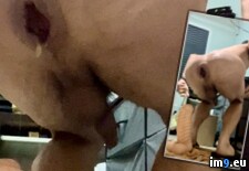 Tags:  (Pict. in Destroyed)