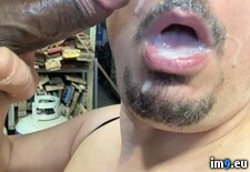 Tags: bigcock, blowjob, cheatingboyfriend, chicagococksucker, cock, cocksucker, cum, cumslut, excellentmarriedcocksucker, exposedcocksucker, faggot, faggotcocksucker, gay, gayblowjob, gaycumslut, gayslut, gayzindleblowjob, jizz, joeblow, joezindlecheatingboyfriend, joezindlecumslut, joezindlefaggotcocksucker, joezindlegayblowjob, joezindlejolietcocksucker, joezindlesemen, joezindlesperm, joezindlesuckscock, jolietblowjobs, mouth, oral, penis, porn, semen, sperm, spermwhore, upallnitetoo5, zindleblowjob (Pict. in Gay Cumsluts)