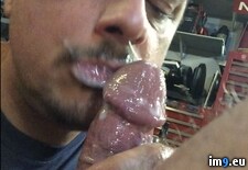 Tags: bigcock, blowjob, cheatingboyfriend, chicagococksucker, cock, cocksucker, cum, cumslut, excellentmarriedcocksucker, exposedcocksucker, faggot, faggotcocksucker, gay, gayblowjob, gaycumslut, gaymarriedcocksucker, gayslut, gayzindleblowjob, jizz, joeblow, joezindlecheatingboyfriend, joezindlecumslut, joezindlefaggotcocksucker, joezindlegayblowjob, joezindlejolietcocksucker, joezindlesemen, joezindlesperm, joezindlesuckscock, jolietblowjobs, mouth, oral, penis, porn, semen, sperm, spermwhore, upallnitetoo5, zindleblowjob (Pict. in Gay Cumsluts)