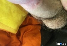 IMG_0993 (#Cock #Dick ) - 1.2 MB Tags: cock, dick (Pict. in Real)