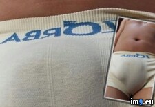 Tags: fag, gayporn, general, homo, hot, masculine, porn (Pict. in general gay 002)