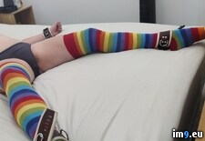 Tags:  (Pict. in Rachel Exposed)