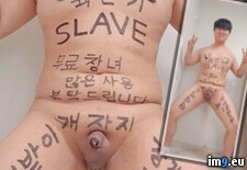 IMG_20250227_234535_741 ( ) - 113 KB Tags: (Pict. in Asian chubby faggot)