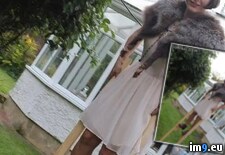 Tags: amateur, bikeride, busty, costumedesigner, exposed, lorenelstein, nudist, theatre, wnbr, worldnakedbikeride (Pict. in Set and Costume Designer Loren Elstein nude at Wnbr (1))