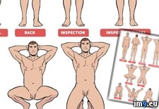 Tags:  (Pict. in Exposed Faggot Poses)