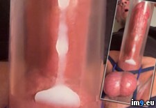 IMG_2673 (#Cum #Sperm #Cock #Dick #Cumshot #Faggot #Penis #Homosexual #Spunk #Autofellatio #Ejaculate #Jizm #Spurt) - 145 KB Tags: autofellatio, bisexual, cock, cocksucker, cum, cumshot, dick, ejaculate, faggot, homosexual, jizm, jizz, load, penis, pump, queer, sperm, spunk, spurt, suck (Pict. in Squirting penis)