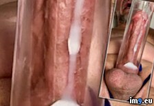 IMG_2828 (#Ass #Hardcore #Anal #Sodomy #Cum #Butt #Gay #Sperm #Cock #Fuck #Dick #Faggot #Anus #Masturbate #Jerk #Eruption #Queer #Homosexual #Sodomize #Bicurious #Spunk #Ejaculate #Jizm #Autofellatio #Spurt) - 224 KB Tags: anal, anus, ass, autofellatio, bicurious, bisexual, butt, circle, cock, cocksucker, cum, dick, double, ejaculate, eruption, faggot, fuck, gay, hardcore, homosexual, jerk, jizm, jizz, load, masturbate, penis, pump, queer, semen, shoot, shot, sodomize, sodomy, sperm, spunk, spurt, squirt, suck (Pict. in Squirting penis)