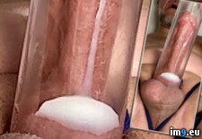 IMG_2829 (#Ass #Hardcore #Anal #Sodomy #Cum #Butt #Gay #Sperm #Cock #Fuck #Dick #Faggot #Anus #Masturbate #Jerk #Eruption #Queer #Homosexual #Sodomize #Bicurious #Spunk #Ejaculate #Jizm #Autofellatio #Spurt) - 262 KB Tags: anal, anus, ass, autofellatio, bicurious, bisexual, butt, circle, cock, cocksucker, cum, dick, double, ejaculate, eruption, faggot, fuck, gay, hardcore, homosexual, jerk, jizm, jizz, load, masturbate, penis, pump, queer, semen, shoot, shot, sodomize, sodomy, sperm, spunk, spurt, squirt, suck (Pict. in Squirting penis)