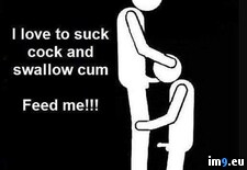 Tags: bigcock, blowjob, chicagococksucker, cock, cocksucker, cum, cumslut, exposedcocksucker, faggot, faggotcocksucker, gay, gayblowjob, gayslut, jizz, joeblow, jolietblowjobs, mouth, oral, penis, porn, semen, sperm, spermwhore, upallnitetoo5 (Pict. in Gay slut Faggot Cocksucker Exposed)