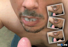 Tags: bigcock, blowjob, cheatingboyfriend, chicagococksucker, cock, cocksucker, cum, cumslut, excellentmarriedcocksucker, exposedcocksucker, faggot, faggotcocksucker, gay, gayblowjob, gaycumslut, gaymarriedcocksucker, gayslut, gayzindleblowjob, jizz, joeblow, joezindlecheatingboyfriend, joezindlecumslut, joezindlefaggotcocksucker, joezindlegayblowjob, joezindlejolietcocksucker, joezindlesemen, joezindlesperm, joezindlesuckscock, jolietblowjobs, mouth, oral, penis, porn, semen, sperm, spermwhore, upallnitetoo5, zindleblowjob (GIF in Gay Cumsluts)