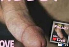Tags: bigcock, blowjob, chicagococksucker, cock, cocksucker, cum, cumslut, exposedcocksucker, faggot, faggotcocksucker, gay, gayblowjob, gayslut, jizz, joeblow, jolietblowjobs, jolietcocksucker, mouth, oral, penis, porn, semen, sperm, spermwhore, upallnitetoo5 (Pict. in Gay slut Faggot Cocksucker Exposed)