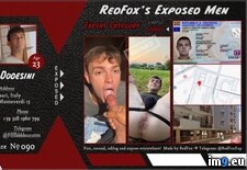 Tags:  (Pict. in STEFANO DODESINI Troia Esposta)