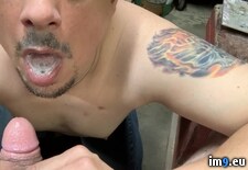 Tags: bigcock, blowjob, cheatingboyfriend, chicagococksucker, cock, cocksucker, cum, cumslut, excellentmarriedcocksucker, exposedcocksucker, faggot, faggotcocksucker, gay, gayblowjob, gaycumslut, gaymarriedcocksucker, gayslut, gayzindleblowjob, jizz, joeblow, joezindlecheatingboyfriend, joezindlecumslut, joezindlefaggotcocksucker, joezindlegayblowjob, joezindlejolietcocksucker, joezindlesemen, joezindlesperm, joezindlesuckscock, jolietblowjobs, mouth, oral, penis, porn, semen, sperm, spermwhore, upallnitetoo5, zindleblowjob (Pict. in Gay Cumsluts)