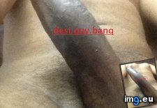 Tags: copy (Pict. in Desi Cock 2)