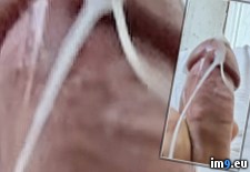 IMG_6247 (#Ass #Hardcore #Anal #Sodomy #Cum #Butt #Gay #Sperm #Cock #Fuck #Masturbate #Jerk #Queer #Homosexual #Sodomize #Bicurious #Spunk #Jizm #Autofellatio #Ejaculate) - 151 KB Tags: anal, anus, ass, autofellatio, bicurious, bisexual, butt, cock, cocksucker, cum, dick, double, ejaculate, faggot, fuck, gay, hardcore, homosexual, jerk, jizm, jizz, masturbate, queer, semen, sodomize, sodomy, sperm, spunk, squirt, suck (Pict. in Squirting penis)