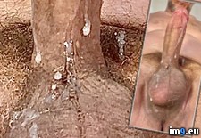 IMG_6469 (#Ass #Hardcore #Anal #Sodomy #Cum #Butt #Gay #Sperm #Cock #Fuck #Masturbate #Jerk #Queer #Homosexual #Sodomize #Bicurious #Spunk #Jizm #Autofellatio #Ejaculate) - 413 KB Tags: anal, anus, ass, autofellatio, bicurious, bisexual, butt, cock, cocksucker, cum, dick, double, ejaculate, faggot, fuck, gay, hardcore, homosexual, jerk, jizm, jizz, masturbate, queer, semen, sodomize, sodomy, sperm, spunk, squirt, suck (Pict. in Squirting penis)