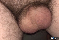 Tags:  (Pict. in Dickless Fag - banding penis ruined it.)