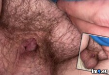 Tags: cocklet, dickless, exposed, fag, faggot, gay, humiliated, innie, joseph, lee, microdick, penectomy, ray, tiny (Pict. in Dickless Fag Joseph Ray Lee)