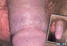 Tags:  (Pict. in Dickless Fag - banding penis ruined it.)
