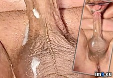 IMG_7588 (#Cum #Gay #Sperm #Cock #Penis #Semen #Selfsuck #Jism #Drinker) - 299 KB Tags: anus, balls, cock, cum, dick, drinker, gay, jism, penis, selfsuck, semen, sperm, squirt (Pict. in Squirting penis)