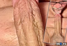 IMG_7608 (#Ass #Hardcore #Anal #Sodomy #Cum #Butt #Gay #Sperm #Cock #Fuck #Dick #Anus #Homosexual #Queer #Sodomize #Bicurious #Spunk #Selfsuck #Jizm #Ejaculate #Autofellatio #Spermy #Shaft #Jism #Throbbing) - 311 KB Tags: anal, anus, ass, autofellatio, bicurious, bisexual, butt, cock, cocksucker, cream, cum, dick, double, ejaculate, faggot, fuck, gay, hardcore, homosexual, jerk, jism, jizm, jizz, masturbate, queer, seed, selfsuck, semen, shaft, sodomize, sodomy, sperm, spermy, spunk, squirt, suck, throbbing (Pict. in Squirting penis)