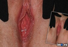 Tags: cocksucking, cunt, exposed, milf, nude, shaved, spreading, webslut (Pict. in Monami is a slut)