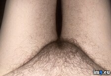 Tags: blackmail, dickless, exposed, fag, faggot, gay, joseph, lee, penectomy, ray (Pict. in Dickless and Horny Faggot Joseph Ray Lee)