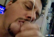 Tags: bigcock, blowjob, cheatingboyfriend, chicagococksucker, cock, cocksucker, cum, cumslut, excellentmarriedcocksucker, exposedcocksucker, faggot, faggotcocksucker, gay, gayblowjob, gaycumslut, gayslut, gayzindleblowjob, jizz, joeblow, joezindlecheatingboyfriend, joezindlecumslut, joezindlefaggotcocksucker, joezindlegayblowjob, joezindlejolietcocksucker, joezindlesemen, joezindlesperm, joezindlesuckscock, jolietblowjobs, mouth, oral, penis, porn, semen, sperm, spermwhore, upallnitetoo5, zindleblowjob (Pict. in Gay Cumsluts)