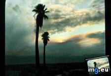 Tags: california, desert, indio, landscape, palms, sunset (Pict. in Branson DeCou Stock Images)