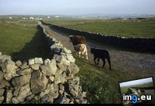 Tags: inishmore, village (Pict. in National Geographic Photo Of The Day 2001-2009)