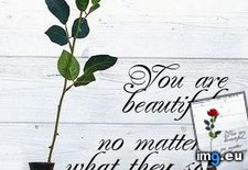 Inspirational quote pictures 138 (#Pictures #Inspirational ) - 31 KB Tags: inspirational, pictures (Pict. in Best beautiful, motivational quotation images)