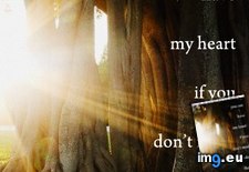 Inspirational quote pictures 366 (#Pictures #Inspirational ) - 38 KB Tags: inspirational, pictures (Pict. in Best beautiful, motivational quotation images)