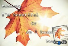 Inspirational quote pictures 91 (#Pictures #Inspirational ) - 46 KB Tags: inspirational, pictures (Pict. in Best beautiful, motivational quotation images)