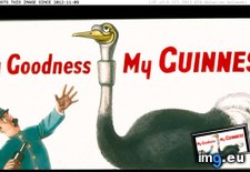 Tags: advertisement, gilroy, goodness, guinness, ireland, john, ostrich, zookeeper (Pict. in Branson DeCou Stock Images)