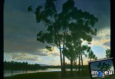 Italy (qm) - road near a river, at night (1919-1938).3776 (#Night #River #Road #Italy) - 85 KB Tags: italy, night, river, road (Pict. in Branson DeCou Stock Images)