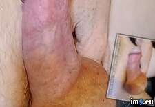 itwasfungayhomosexual160 (#Gay #Fuck #Itwasfungayhomosexual #Itwasfungay #Faggot #Homosexual) - 164 KB Tags: faggot, fuck, gay, homosexual, itwasfungay, itwasfungayhomosexual (Pict. in Itwasfungay HOMOSEXUAL Faggot -
