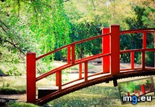 Tags: 1440x900, bridge, garden, japanese, wallpaper (Pict. in Tiburon36)