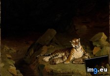 Tags: cubs, jean, tiger (Pict. in Metropolitan Museum Of Art - European Paintings)