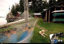 Tags: hammock, kachemak (Pict. in National Geographic Photo Of The Day 2001-2009)