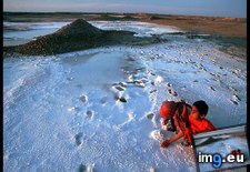 Tags: field, khuzestan, salt (Pict. in National Geographic Photo Of The Day 2001-2009)