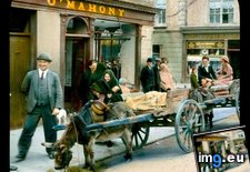 Tags: carts, donkey, drawn, killarney, scene, street (Pict. in Branson DeCou Stock Images)